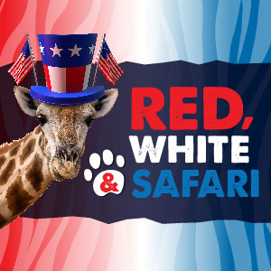 vir safari instagram