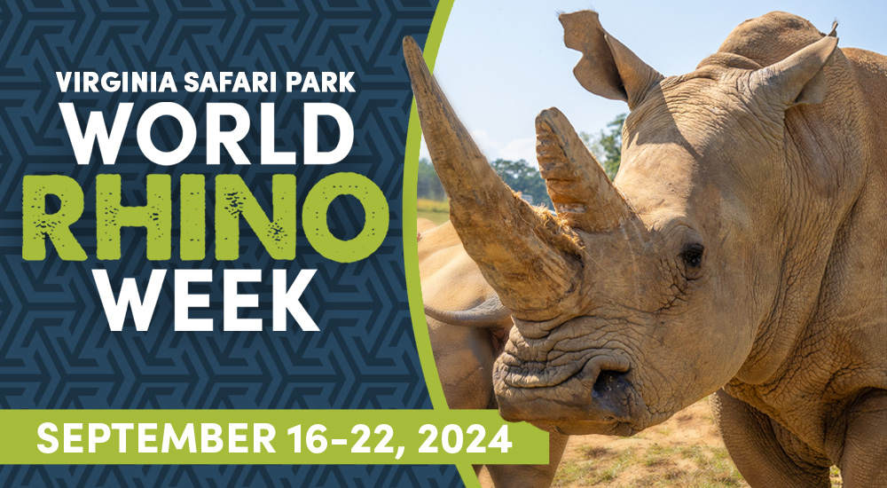 World Rhino Week